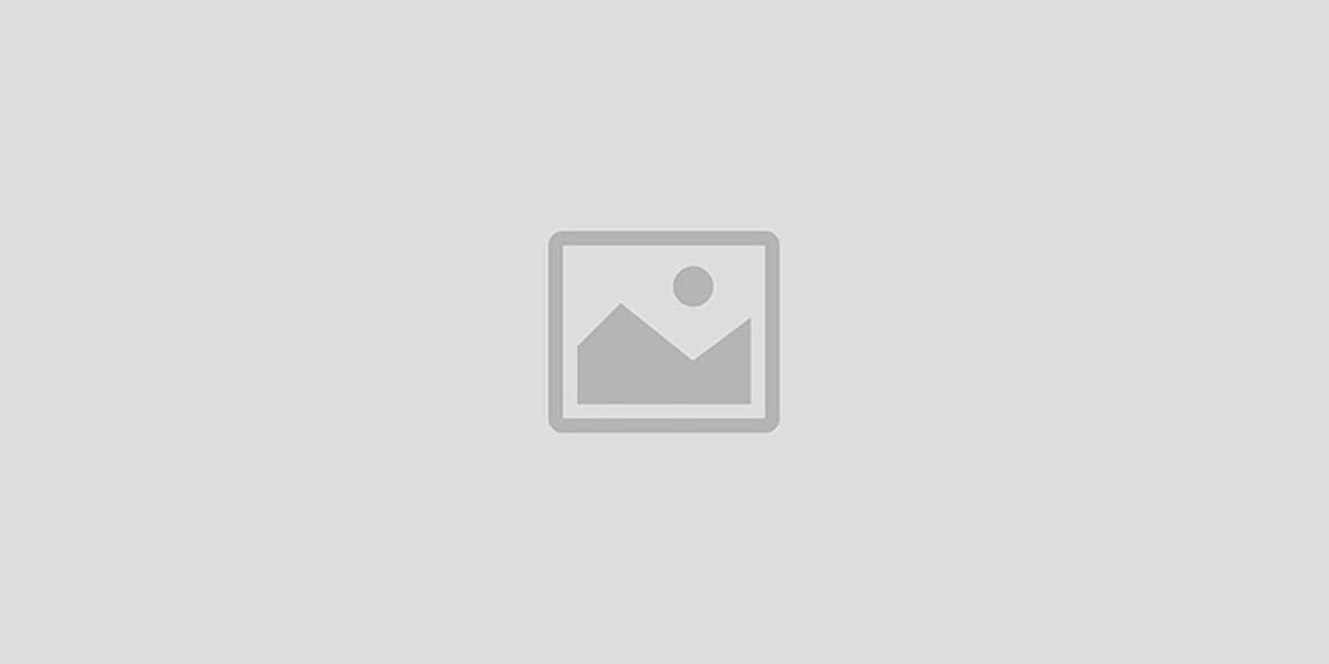 Wholesale City promo